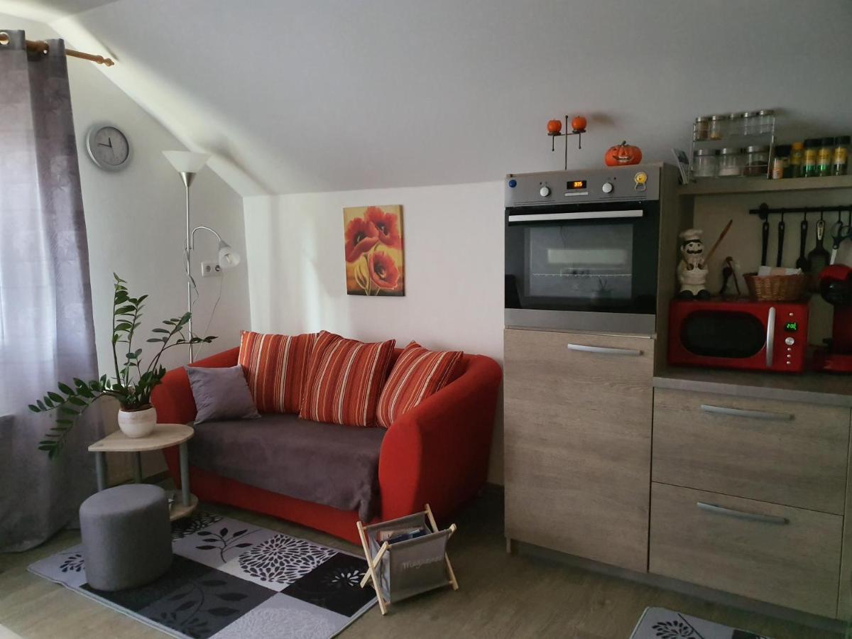 Apartmaji Daniel 克拉尼斯卡戈拉 外观 照片