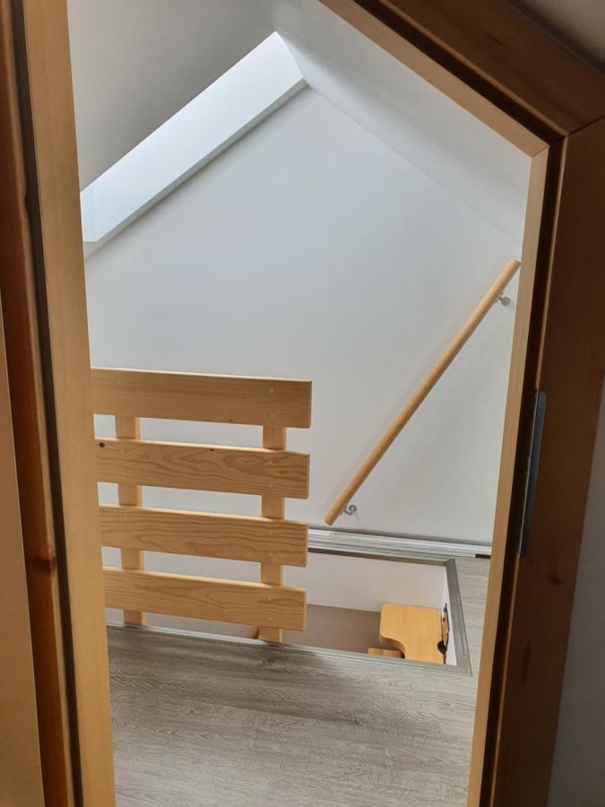 Apartmaji Daniel 克拉尼斯卡戈拉 外观 照片