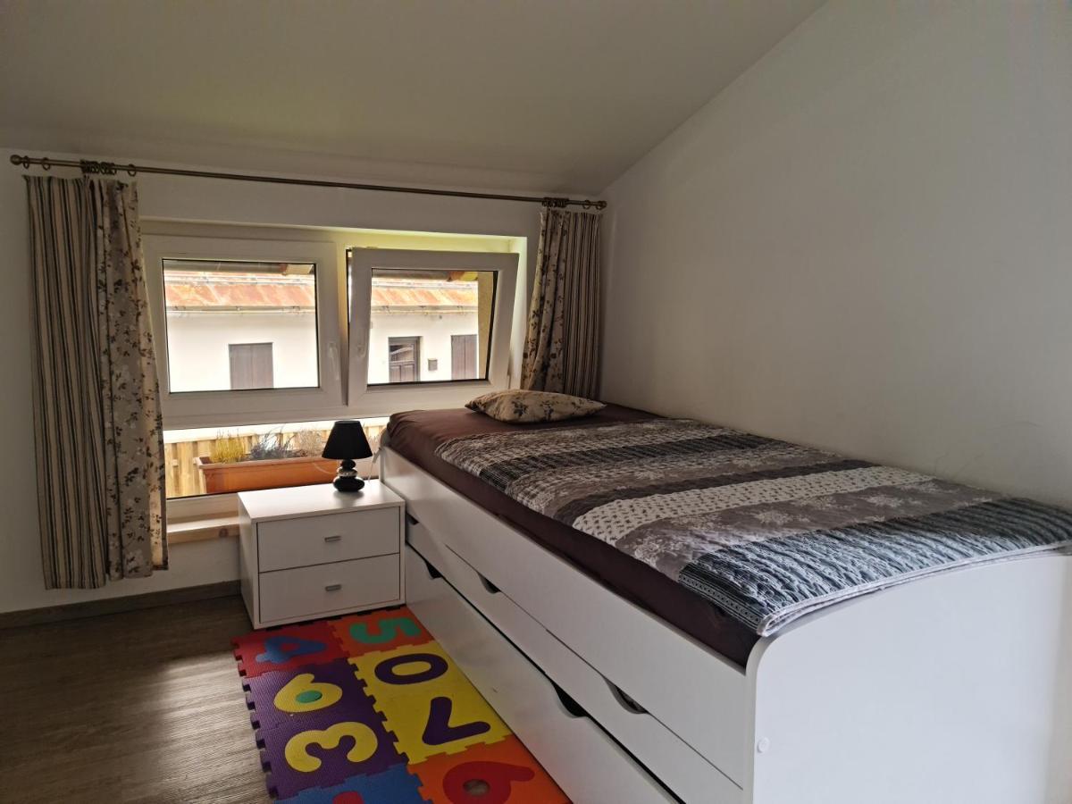 Apartmaji Daniel 克拉尼斯卡戈拉 外观 照片